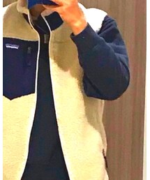 patagonia | ダウンベスト