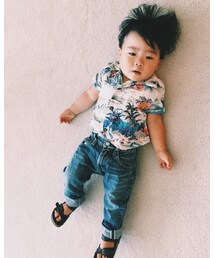 Avanti | シャツ/ブラウス