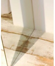 お気に入りスポット | その他