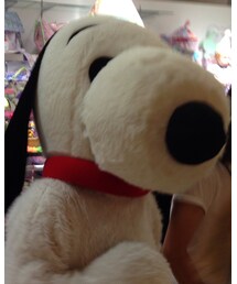 ｽﾇｰﾋﾟｰ参上 | その他