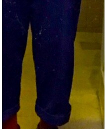 German work pants | その他パンツ