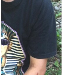 STUSSY | Tシャツ/カットソー