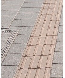 ONLY NY | トップス