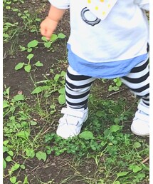 UNIQLO | その他パンツ