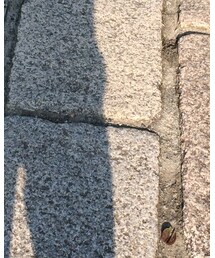 ZARA | Tシャツ/カットソー