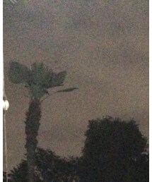 ヒラガナ路線 ガールズバンド | その他