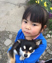 無し | わんこキャワワ(๑•́ω•̀)❤️❤️(おもちゃ)