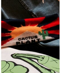 cactus plant flea market | カチューシャ