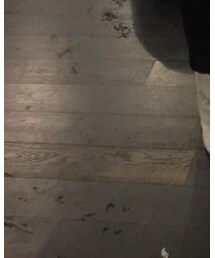 HELMUT LANG | Tシャツ/カットソー