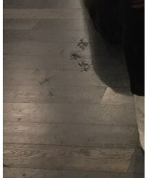 Rick Owens | スニーカー