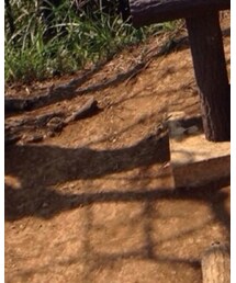 ASICS | レギンス/スパッツ