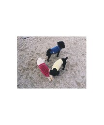 あもりむじじ | その他