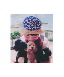 愛犬 | その他