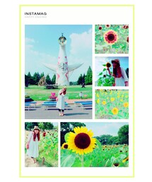 ひまわり | その他