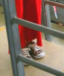 COACH | スニーカー