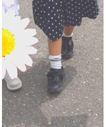 petit main | ソックス/靴下