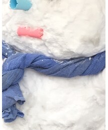 雑巾 | マフラー