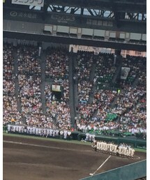 高校野球 | その他