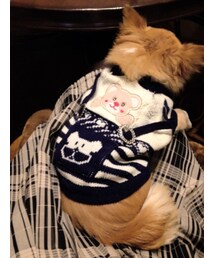 Handmade | サス付きクマニット🐻(ニット/セーター)