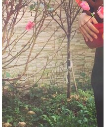 no brand | ワンピース