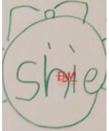 Sieste Peau | おもちゃ