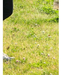 GU | その他パンツ