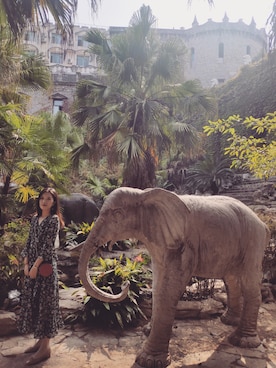 「DIANE von FURSTENBERG（ダイアンフォンファステンバーグ）のアイテム」を使った、Cassie_SHENGさん（レディース・168cm）の秋コーディネート