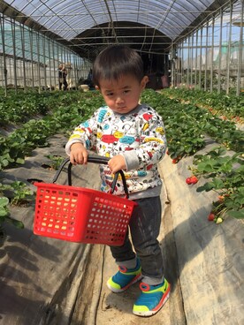 Olivia Wuさんのコーディネート