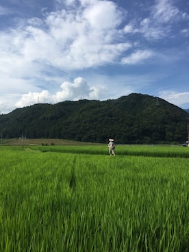 俊彥君さんのコーディネート