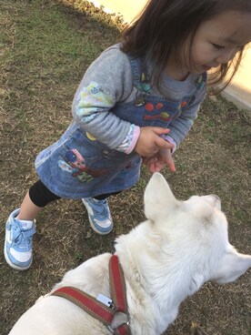 「StompStamp（ストンプスタンプ）のアイテム（ワンピース/ドレス）」を使った、御坊茶魔美さん（キッズ・90cm）の秋コーディネート