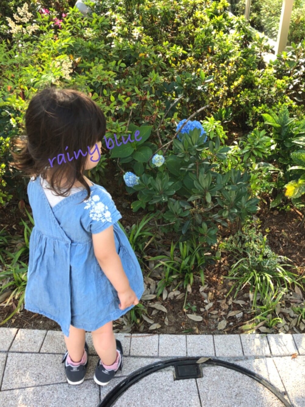 「チームバレーボール🏐、レイニーブルーこーで💙、2歳、2歳10ヶ月、ワンピース、刺繍、ショートパンツ、ワンピースがチュニックに」｜「babyGAPのアイテム（ワンピース/ドレス、ブルー系）」を使った、★app@chi★さん（キッズ・90cm）の夏コーディネートの1枚目の写真