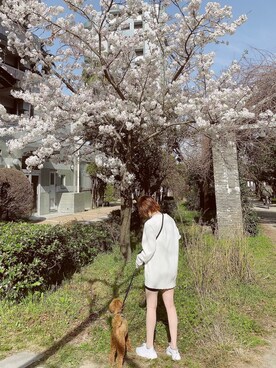 muuさんのコーディネート