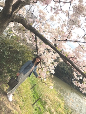 あべかわさんのコーディネート