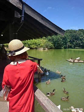 しろくまさん（レディース・150cm）の夏コーディネート