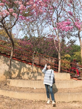 泰瑞莎 Teresa Tuさんのコーディネート