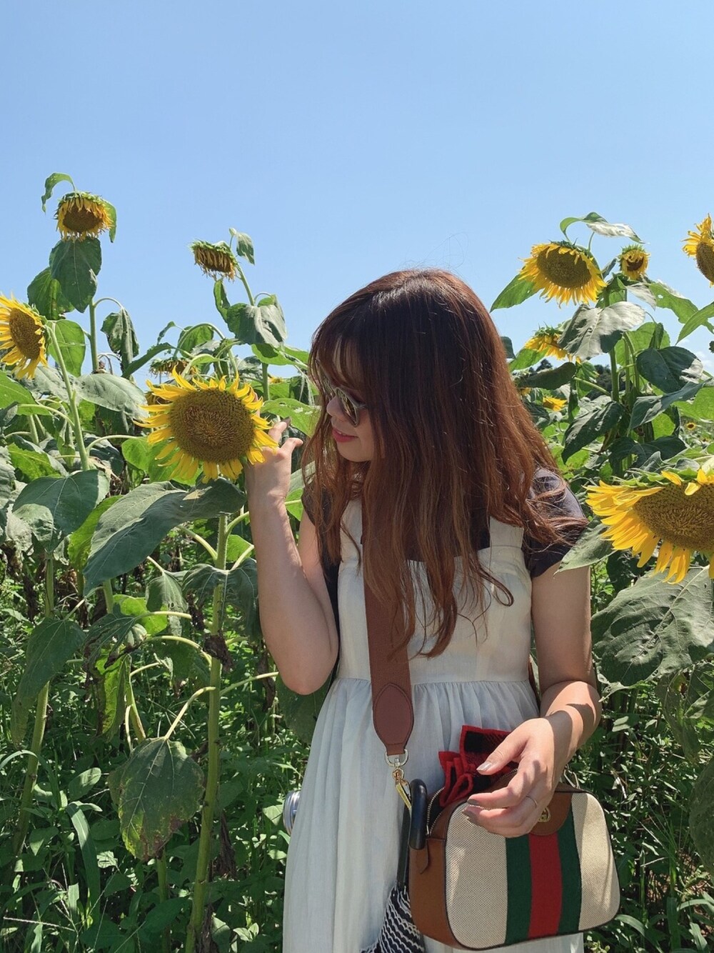 「ひまわり畑、白ワンピース、白、ワンピース、moussy、おしゃれさんと繋がりたい、いいね返し」｜「MOUSSYのBACK RIBBON CAMI DRESS（ワンピース、ホワイト系）」を使った、Mさん（レディース・163cm）の夏コーディネートの1枚目の写真