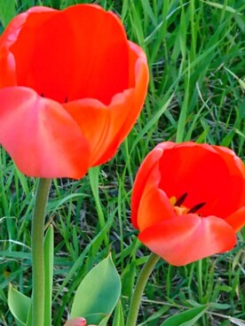 かっちゃんさんのコーディネート