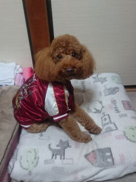 ☆KEN☆さんのコーディネート