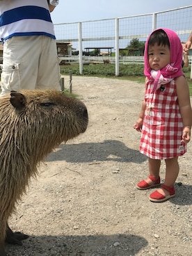 「KP（ケーピー）のアイテム（ワンピース、レッド系）」を使った、♡kikka・akito♡さん（キッズ・110cm）の夏コーディネート