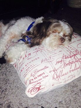 Ångïēさんのコーディネート