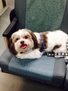 Ångïēさんのコーディネート