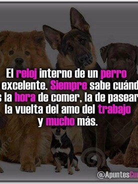 Ångïēさんのコーディネート