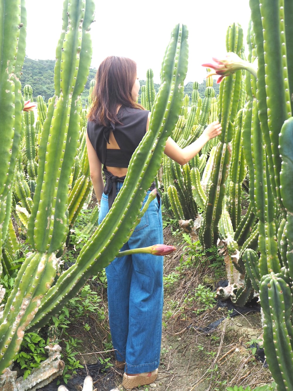 「AmeriのBACK DOUBLE RIBBON TOPS（Tシャツ/カットソー、ブラック系）」を使った、花凜さん（レディース・163cm）の夏コーディネートの1枚目の写真