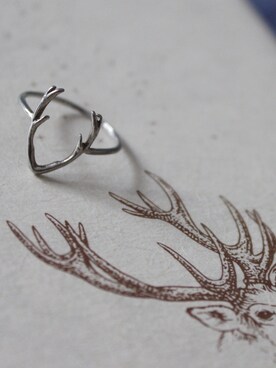 forestsineさんのコーディネート