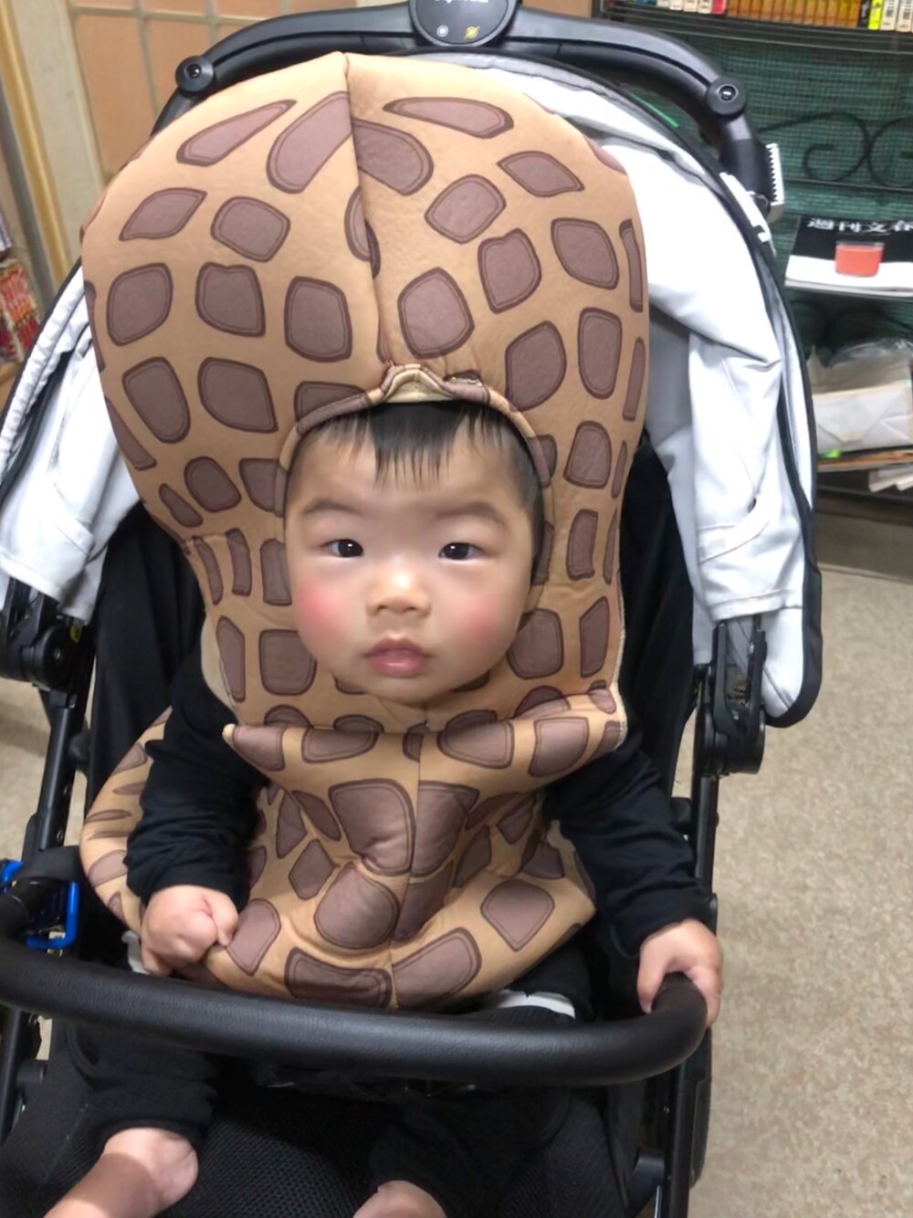 「ハロウィン」｜「Apricaのアイテム（ベビーカー/ベビーカー用品、グリーン系）」を使った、otakaraさん（レディース・90cm）の夏コーディネートの1枚目の写真