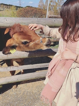 minoriさんのコーディネート