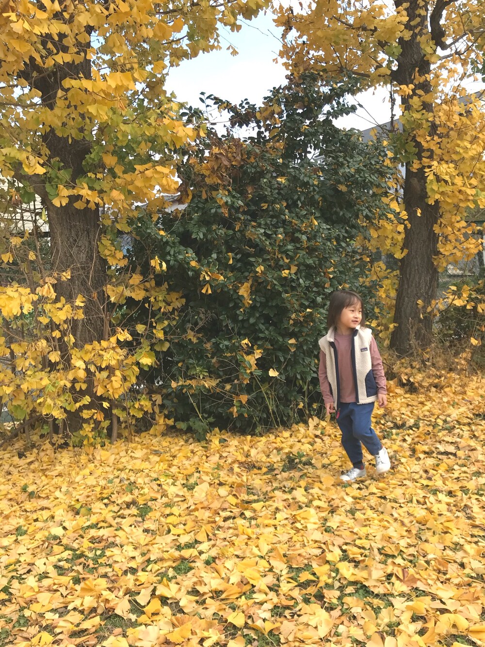 「秋冬コーデ、ボアジャケット、kidsfashion、ピンク、おとこのこ、4歳、紅葉」｜「こども ビームスのpatagonia / キッズ レトロ X ベスト 18 (ボーイズ ガールズ 1～5才)（ベスト、ブルー系）」を使った、RI⌒✶⋆⠒̫⃝さん（キッズ・100cm）の冬コーディネートの1枚目の写真