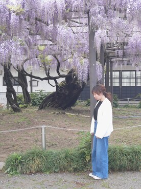 「藤の花」｜mIhOさん（レディース・150cm）の春コーディネート