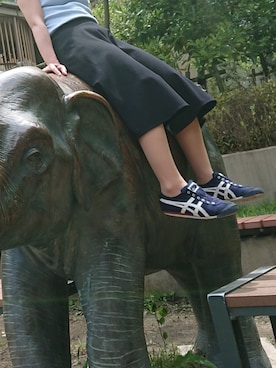 misojiさんのコーディネート