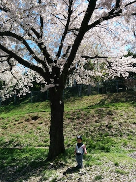 marico(´・ω・`)さんのコーディネート